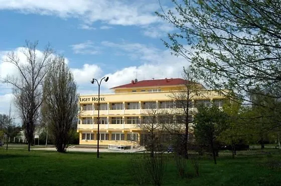 Liget Ξενοδοχείο Ζολνοκ