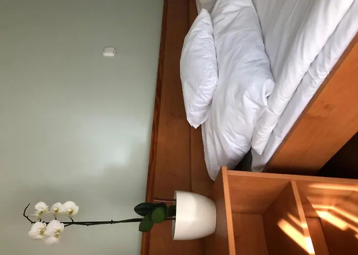 Liget 3* Ζολνοκ